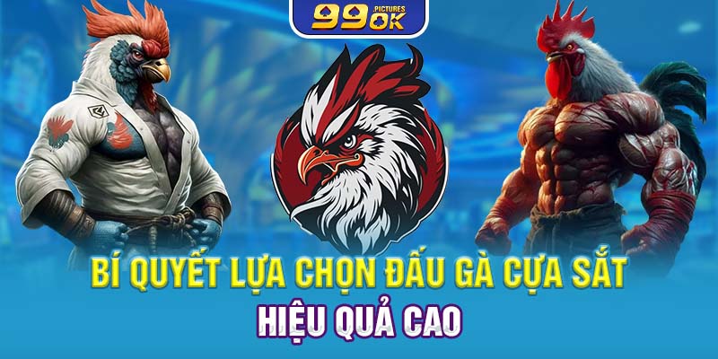 Bí quyết lựa chọn đấu gà cựa sắt hiệu quả cao