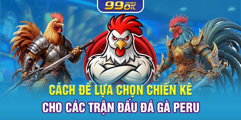 Cách để lựa chọn chiến kê cho các trận đấu đá gà peru