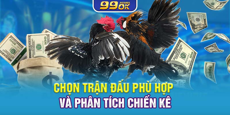 Chọn trận đấu phù hợp và phân tích chiến kê