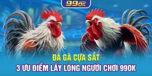 Đá Gà Cựa Sắt – 3 Ưu Điểm Lấy Lòng Người Chơi 99OK