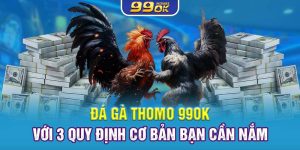 Đá Gà Thomo 99OK Với 3 Quy Định Cơ Bản Bạn Cần Nắm