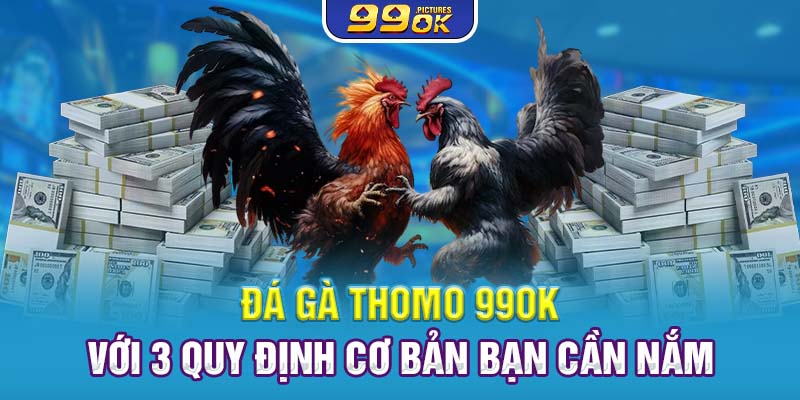 Đá Gà Thomo 99OK Với 3 Quy Định Cơ Bản Bạn Cần Nắm