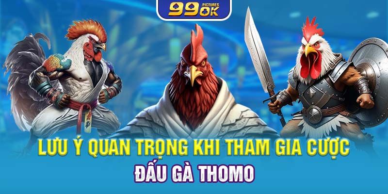 Lưu ý quan trọng khi tham gia cược đấu gà Thomo