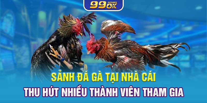 Sảnh đá gà tại nhà cái thu hút nhiều thành viên tham gia