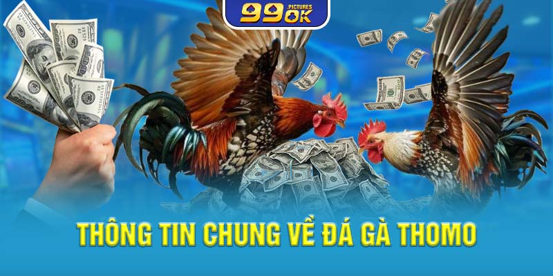 Thông tin chung về Đá gà Thomo