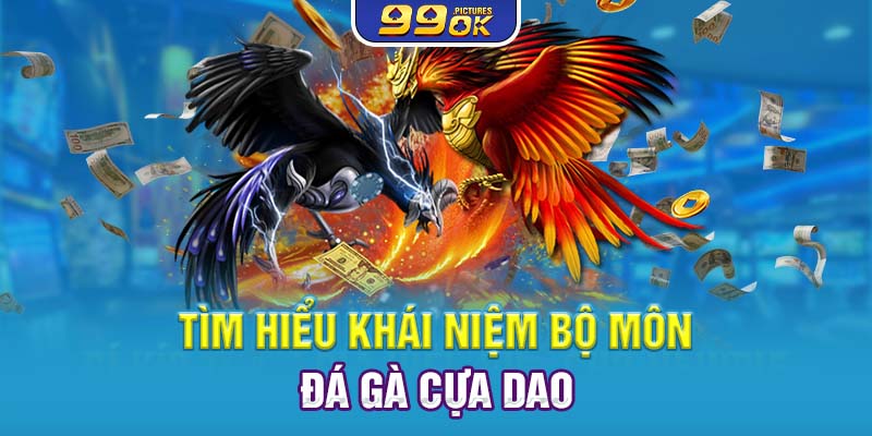 Tìm hiểu khái niệm bộ môn Đá gà cựa dao