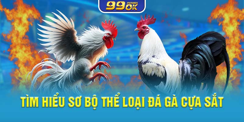 Tìm hiểu sơ bộ thể loại đá gà cựa sắt